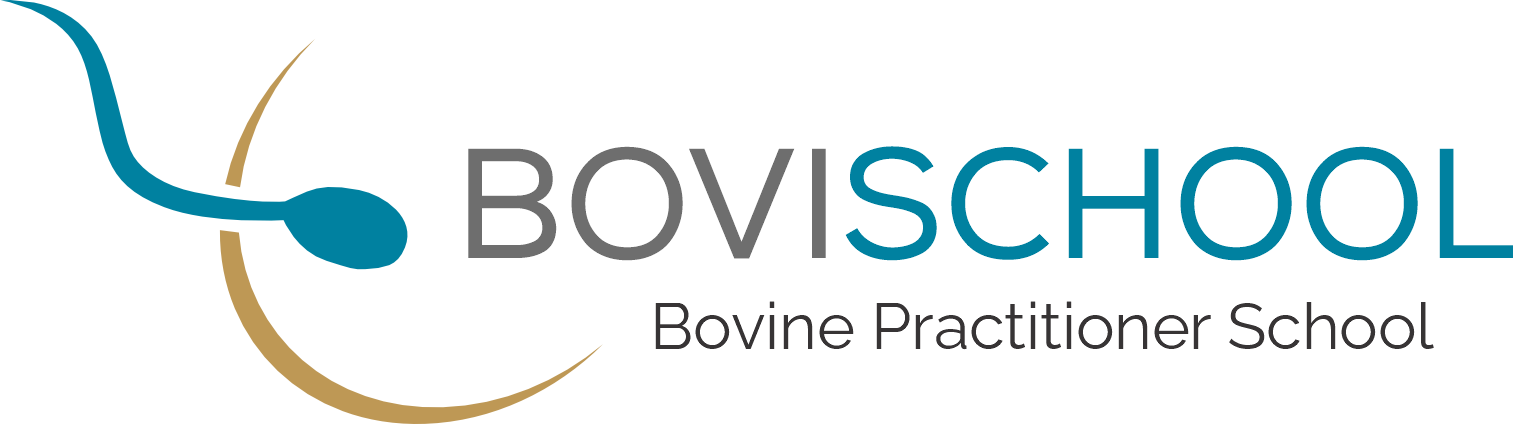 BoviSchool